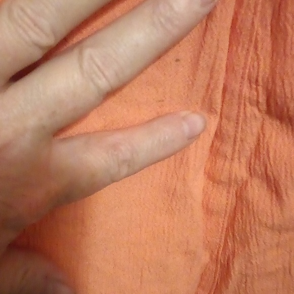 Koret Petite Orange Short Sleeve Lace 2pc Set (Top & Skirt) - Size 12P - Picture 13 of 14